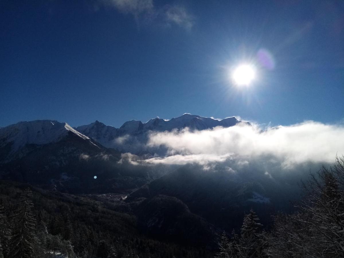 Mont Etape , F2, 42 M2, Calme, Vue Mt Blanc * Passy (Haute-Savoie)
