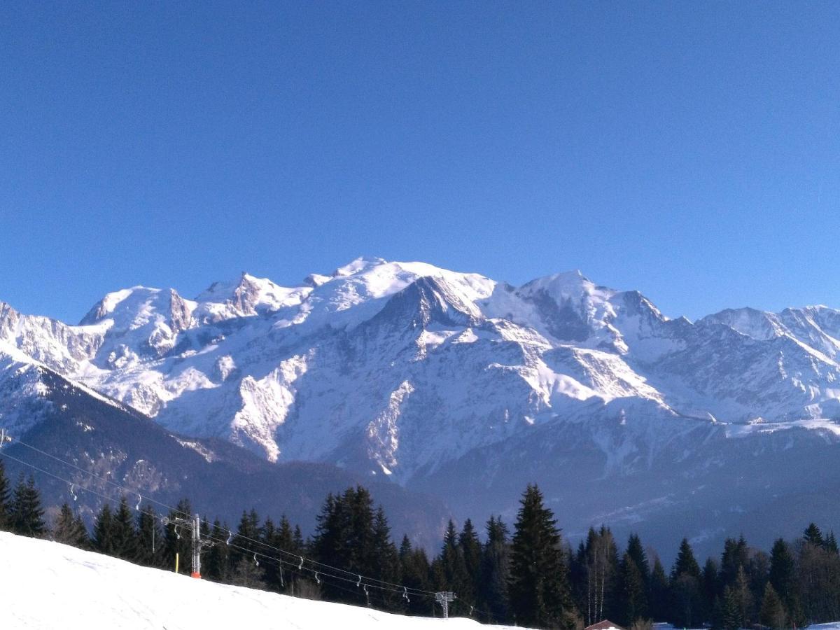 Mont Etape , F2, 42 M2, Calme, Vue Mt Blanc